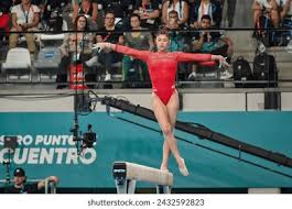 援中国对抗 援中国对抗