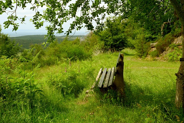 案例分析 案例分析