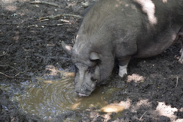 代表性人物 代表性人物