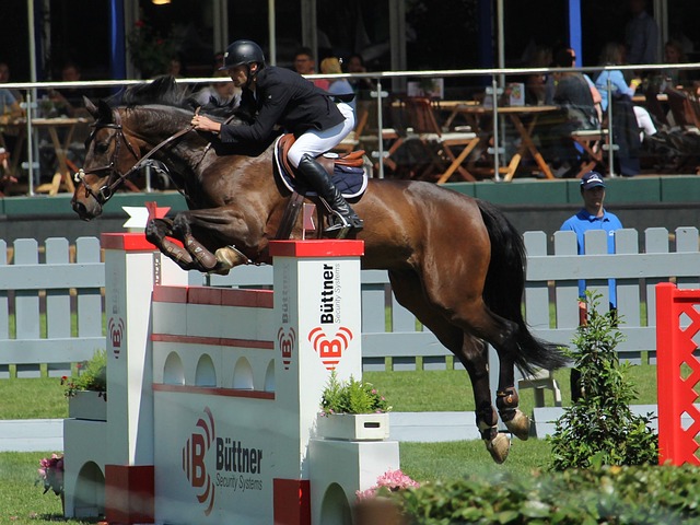 仅代表了他 仅代表了他